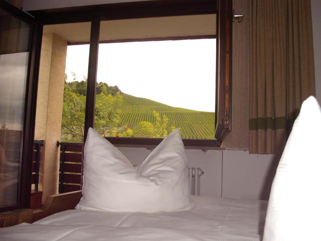 Hotel Alte Kelter Fellbach Pokoj fotografie